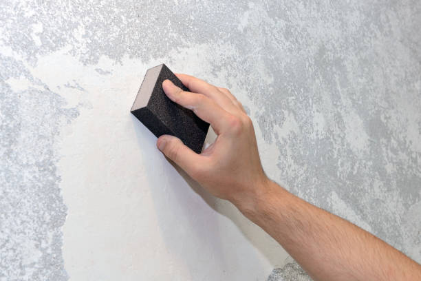 Best Industrial Mold Remediation  in Boles Acres, NM