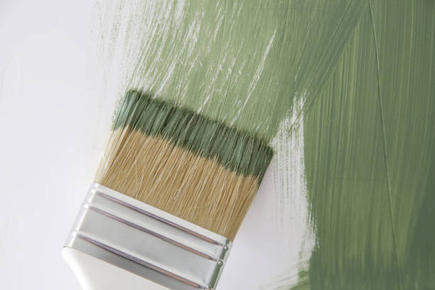 Boles Acres, NM Mold Removal Company