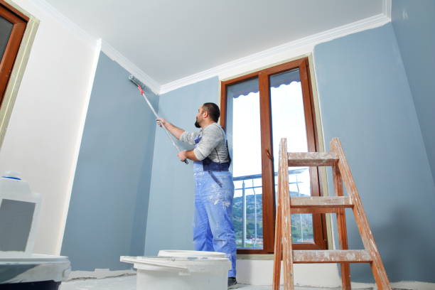  Boles Acres, NM Mold Removal Pros