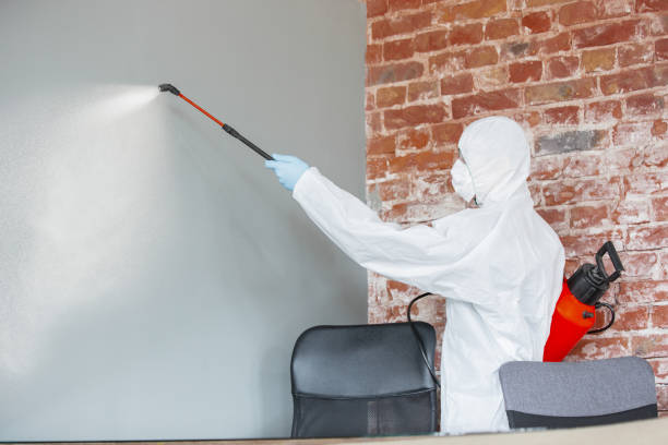 Best Real Estate Mold Inspection  in Boles Acres, NM