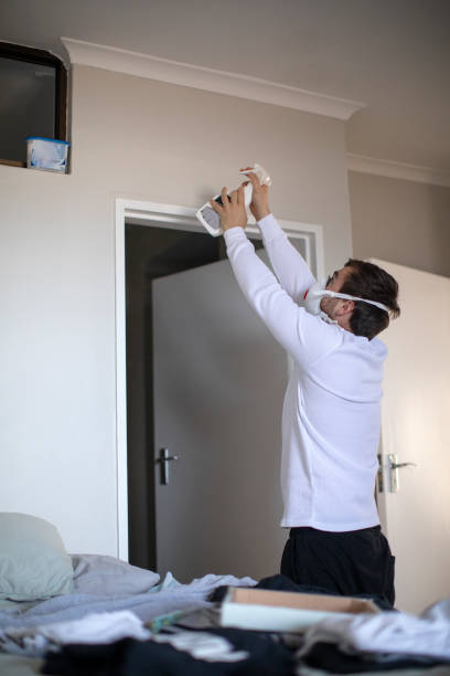 Best Basement Mold Removal  in Boles Acres, NM