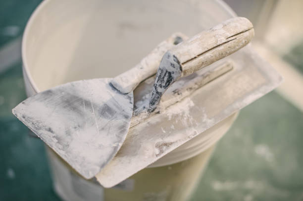 Best Mold Remediation for Healthcare Facilities  in Boles Acres, NM